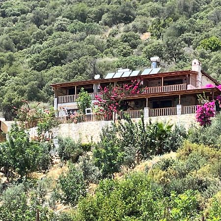 Istlada Tas Ev Apart - Kekova View Kapakli Bagian luar foto