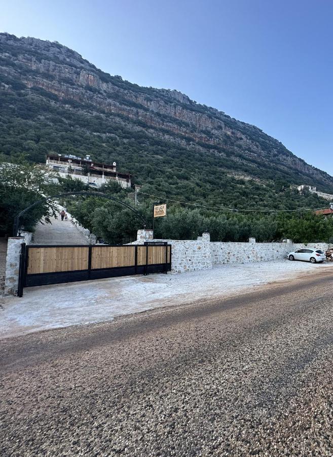 Istlada Tas Ev Apart - Kekova View Kapakli Bagian luar foto