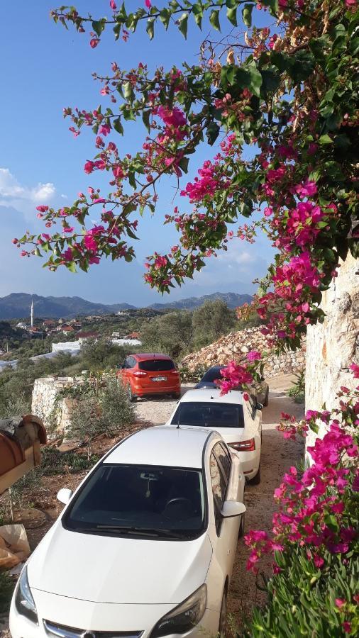 Istlada Tas Ev Apart - Kekova View Kapakli Bagian luar foto